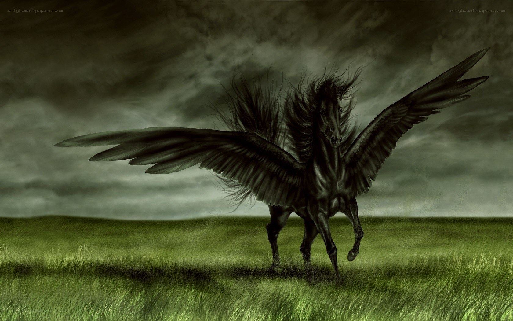 Black Pegasus in a Storm