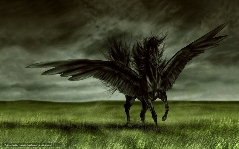 Black Pegasus in a Storm