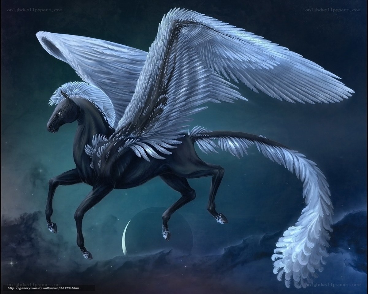 Black Pegasus in Flight