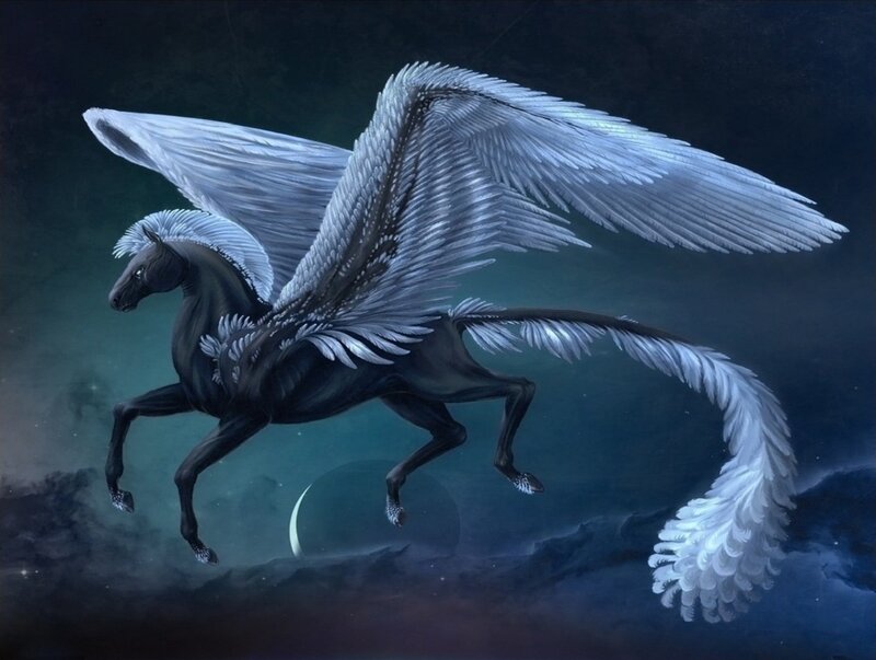 Black Pegasus with White Wings — Dramatic, Night, Digital Art