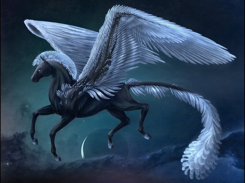 Black Pegasus with White Wings — Dramatic, Night