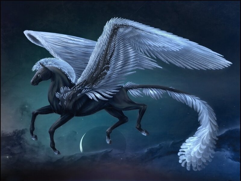 Black Pegasus with White Wings — Dramatic