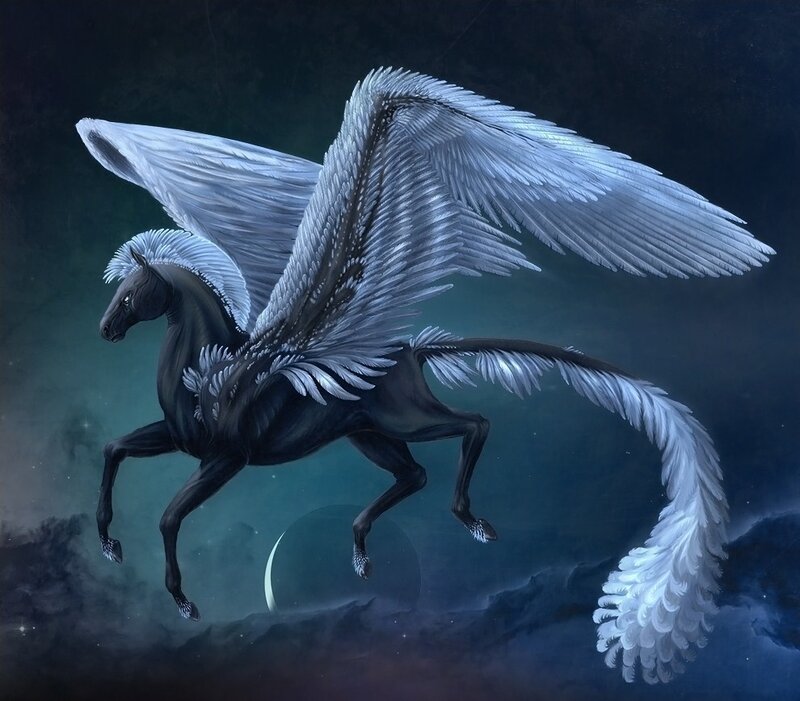 Black Pegasus with White Wings