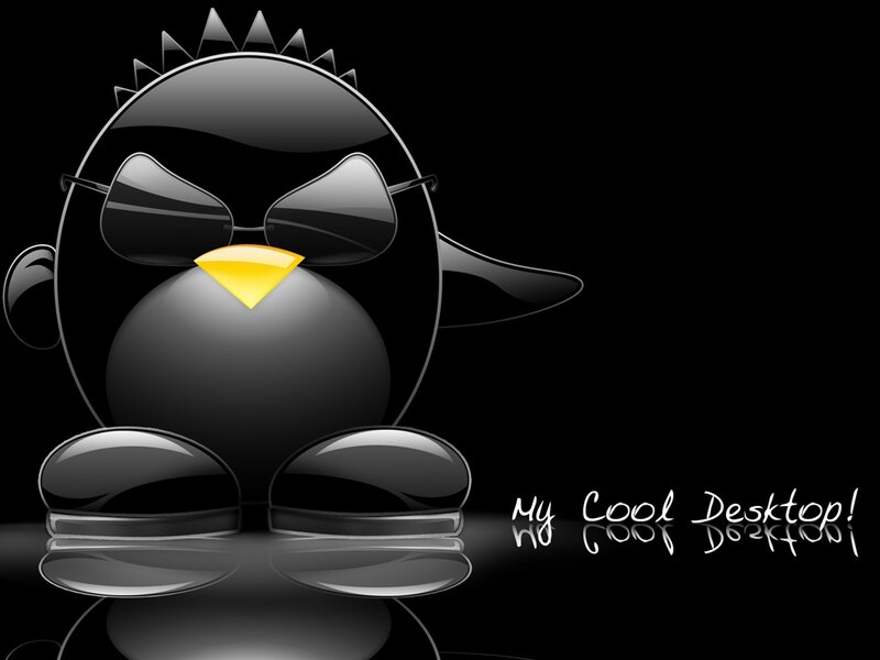 Black Penguin Character — Cool