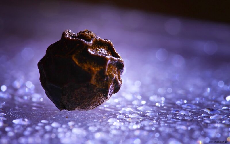 black pepper on wet surface