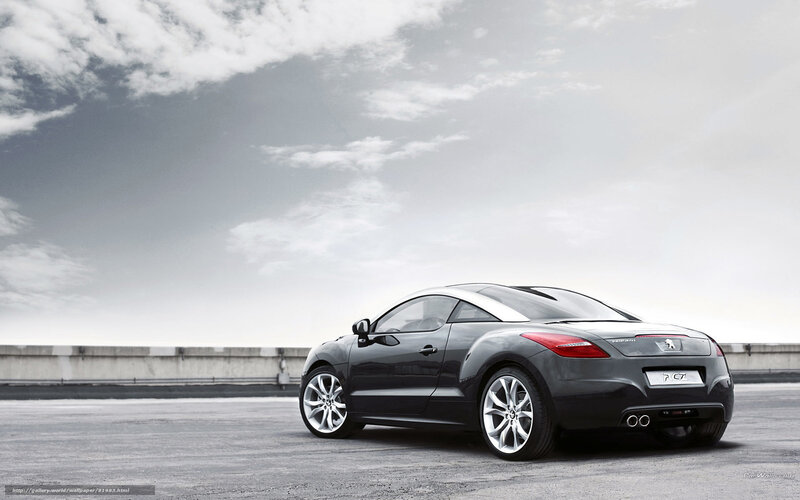 Black Peugeot Car — Gray