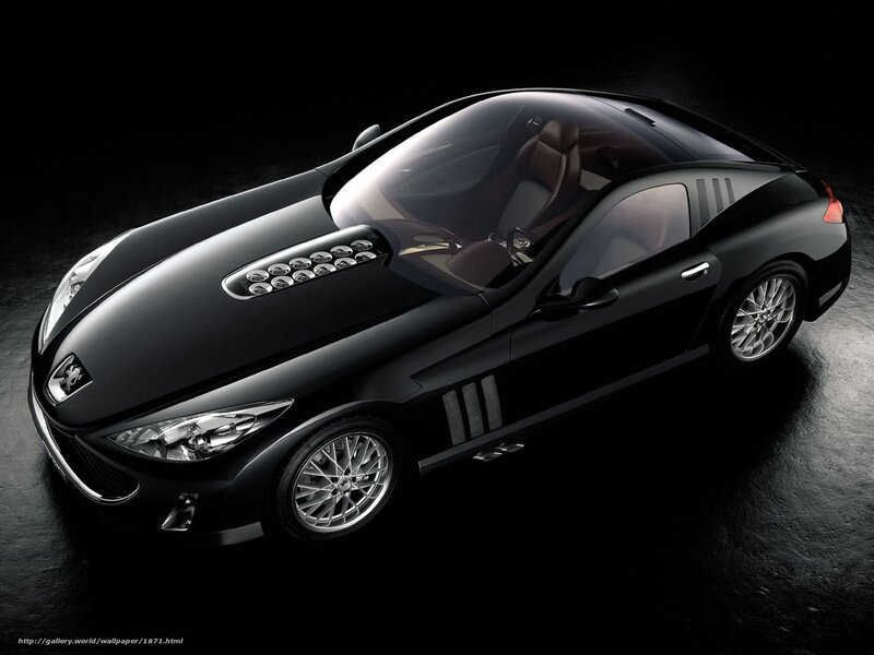 Black Peugeot Concept Car