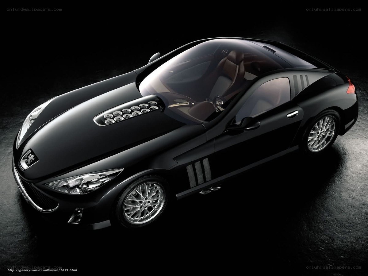 Black Peugeot Concept Car