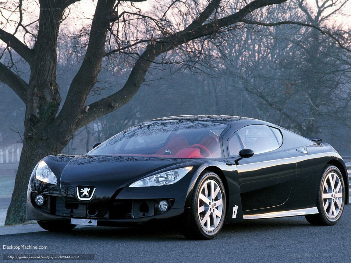 Black Peugeot sports car