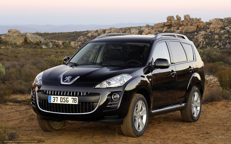 Black Peugeot Suv