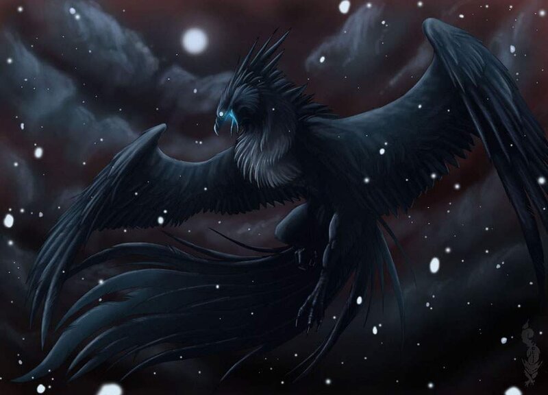 black phoenix in night sky