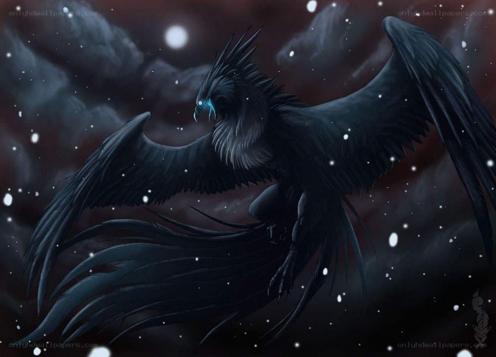 black phoenix in night sky