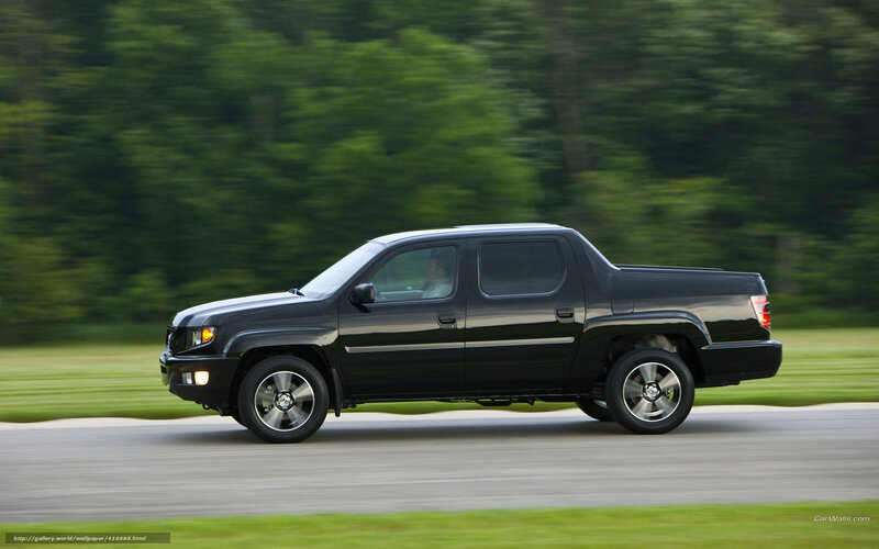 Black Pickup Truck — Dynamic, Afternoon, Photograph, Driver, Trees