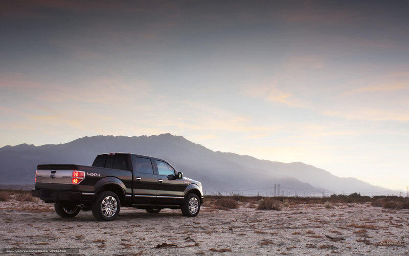 Black Pickup Truck — Gray