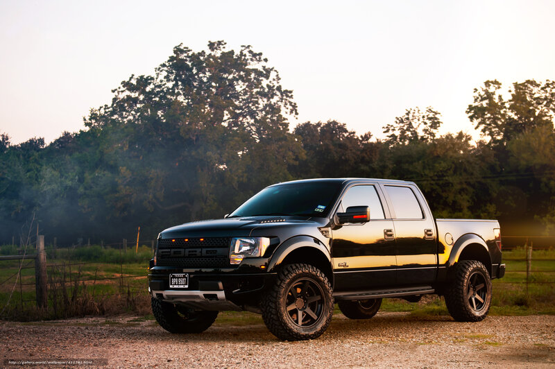 black pickup truck in field