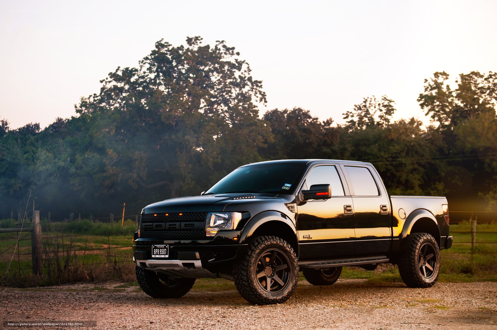 black pickup truck in field