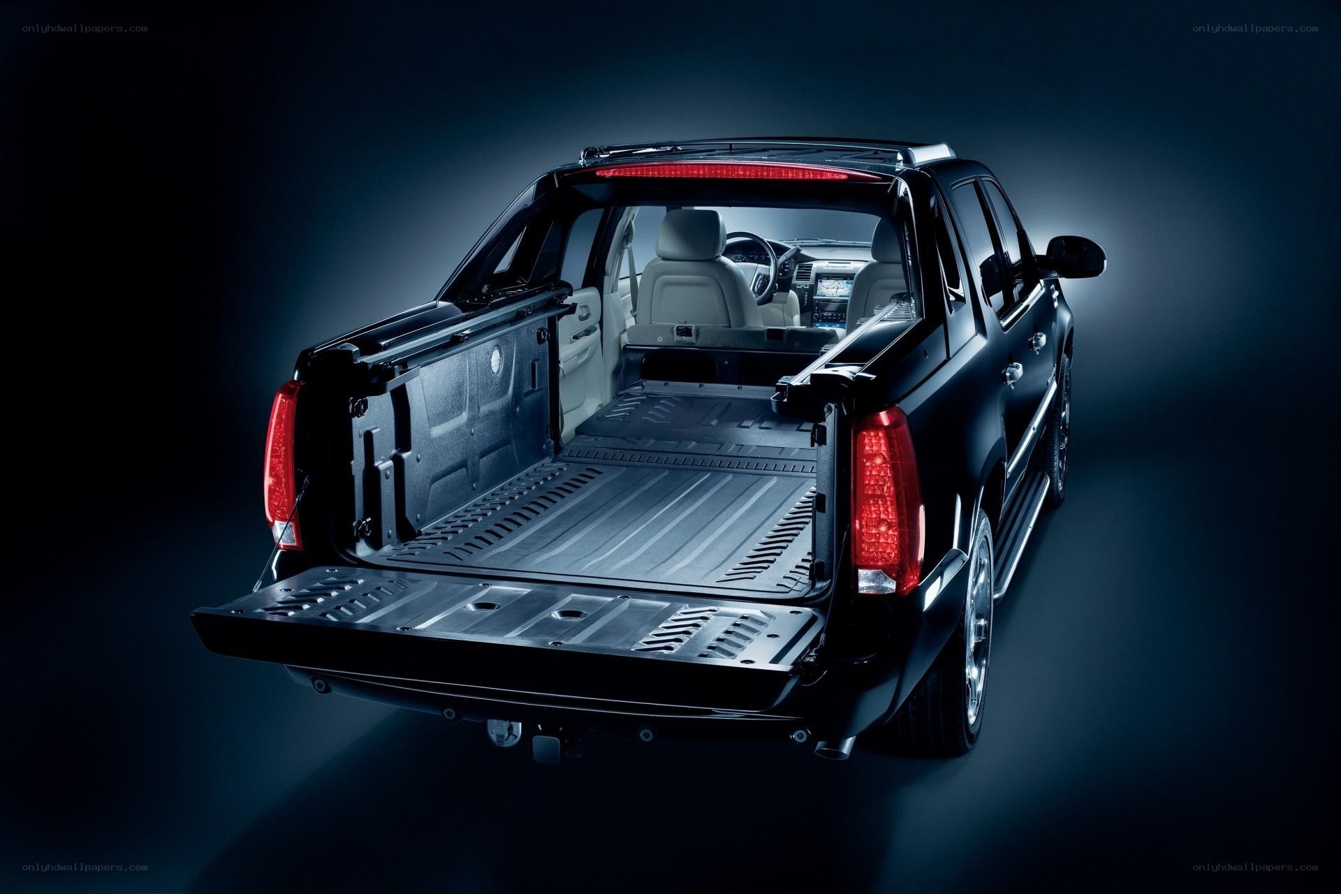 black pickup truck with open tailgate