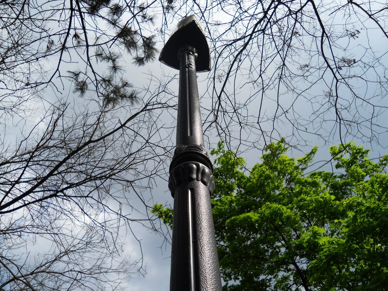 black pole with tree branches