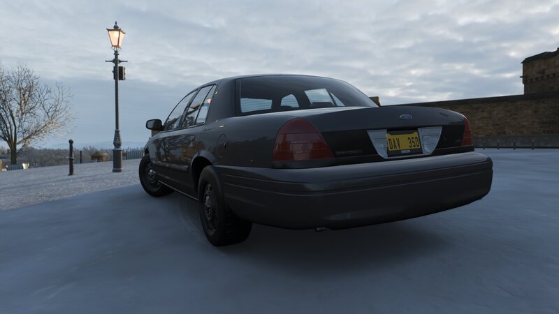 Black Police Car — Gray