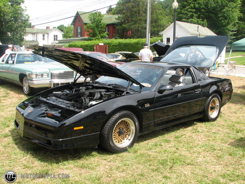 Black Pontiac Firebird — Calm
