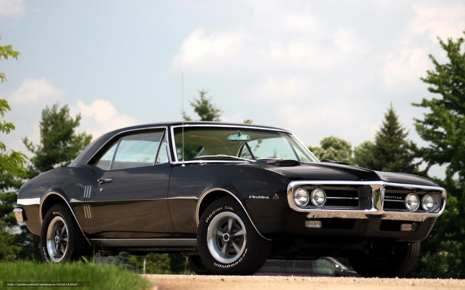 Black Pontiac Firebird classic car