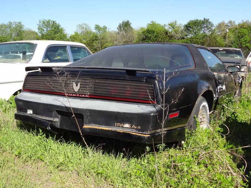 Black Pontiac Firebird — Outdoor