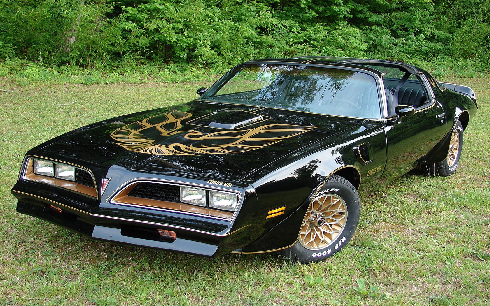 Black Pontiac Firebird Trans Am