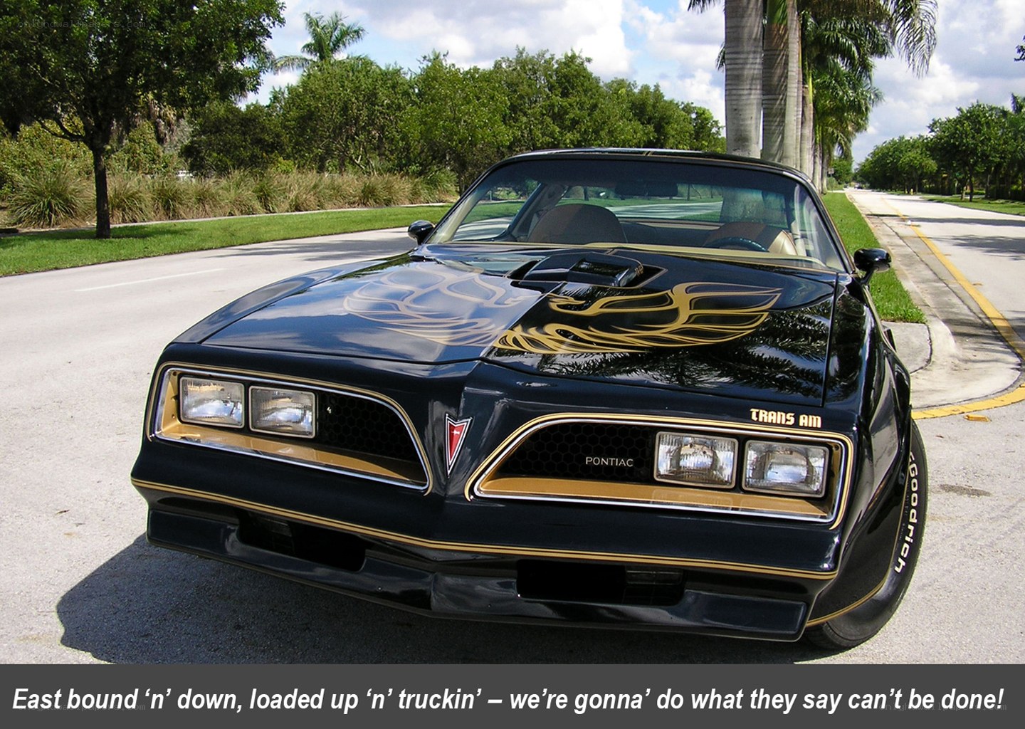 black pontiac trans am
