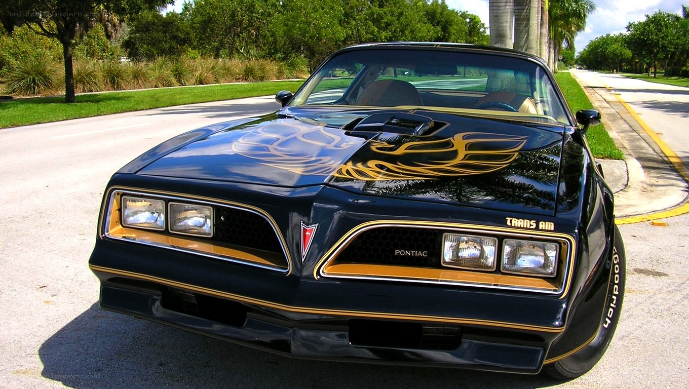 Black Pontiac Trans Am with flame decals