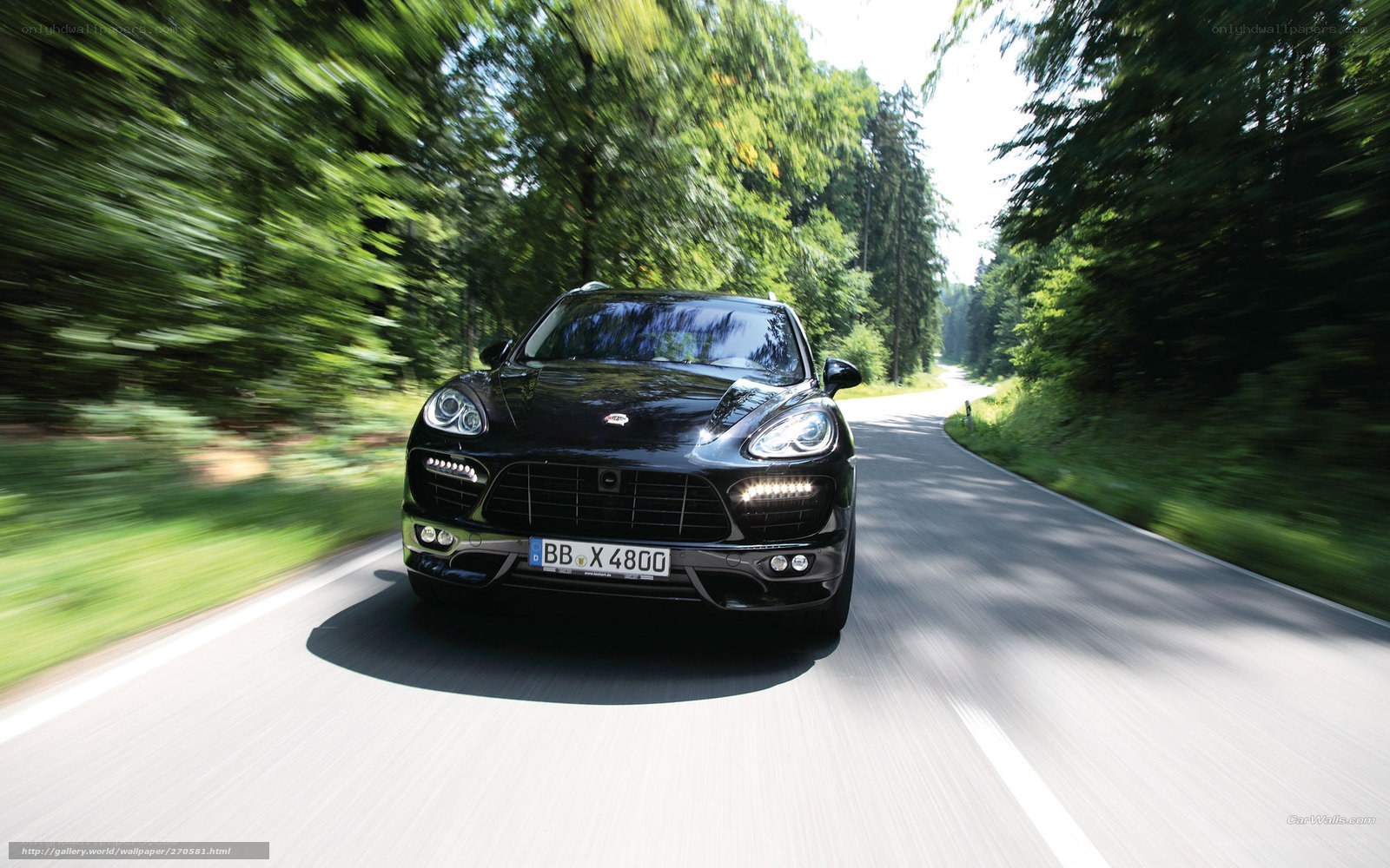 Black Porsche Cayenne in forest