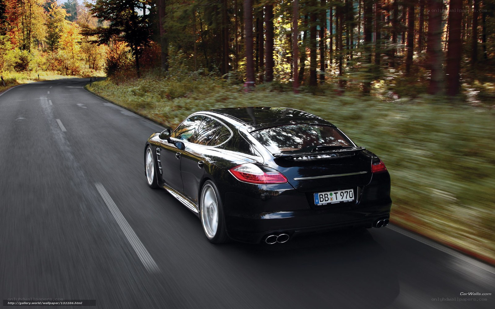 Black Porsche driving on forest road