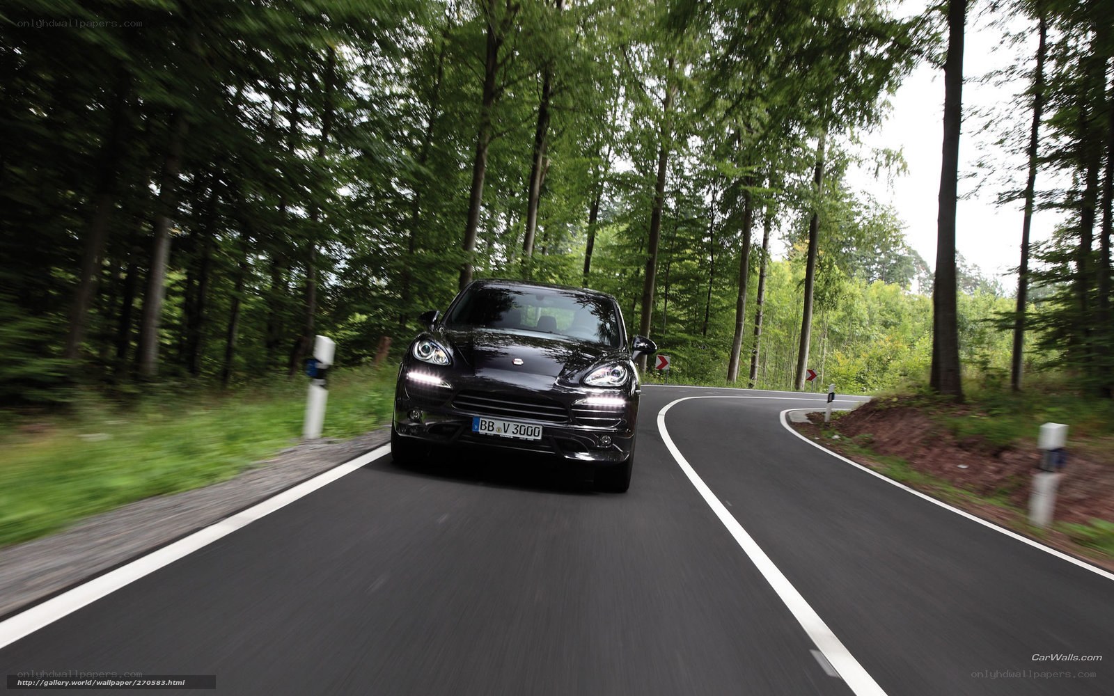 black porsche on forest road