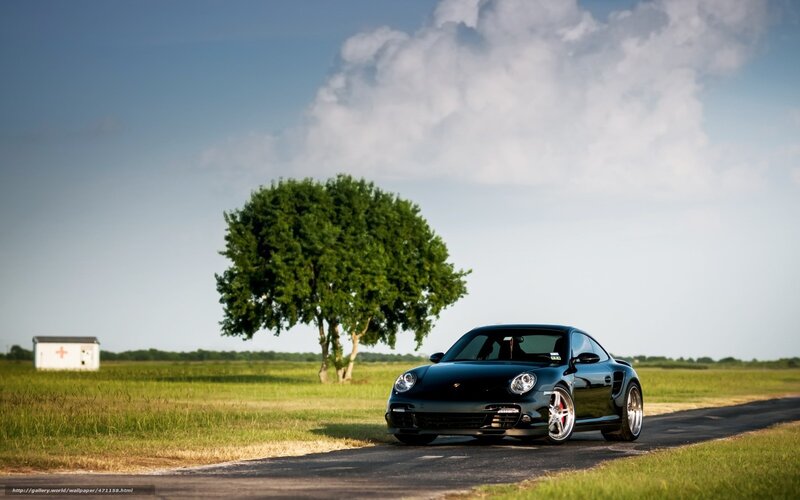 Black Porsche on Road — Green, Serene