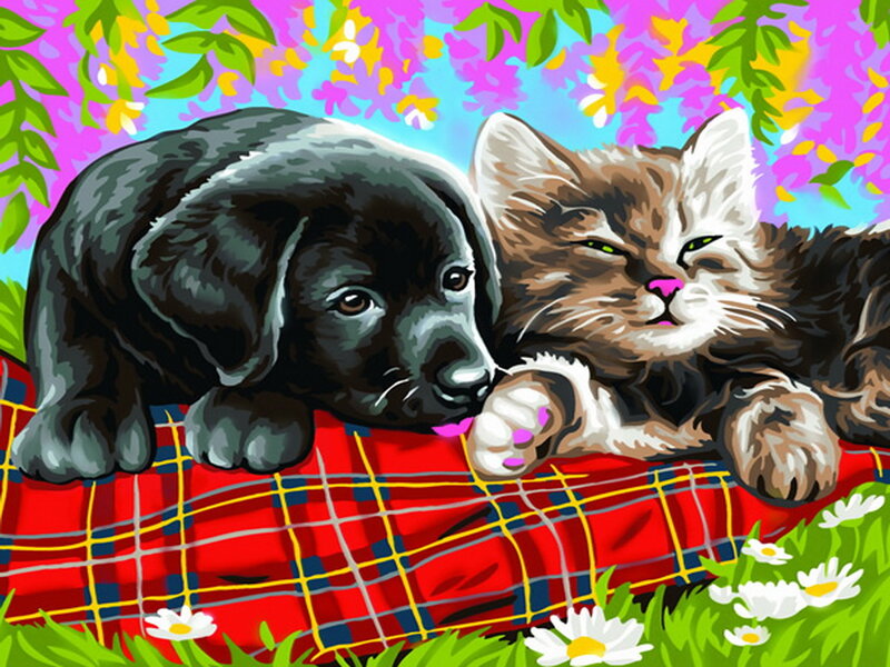 Black Puppy and Kitten