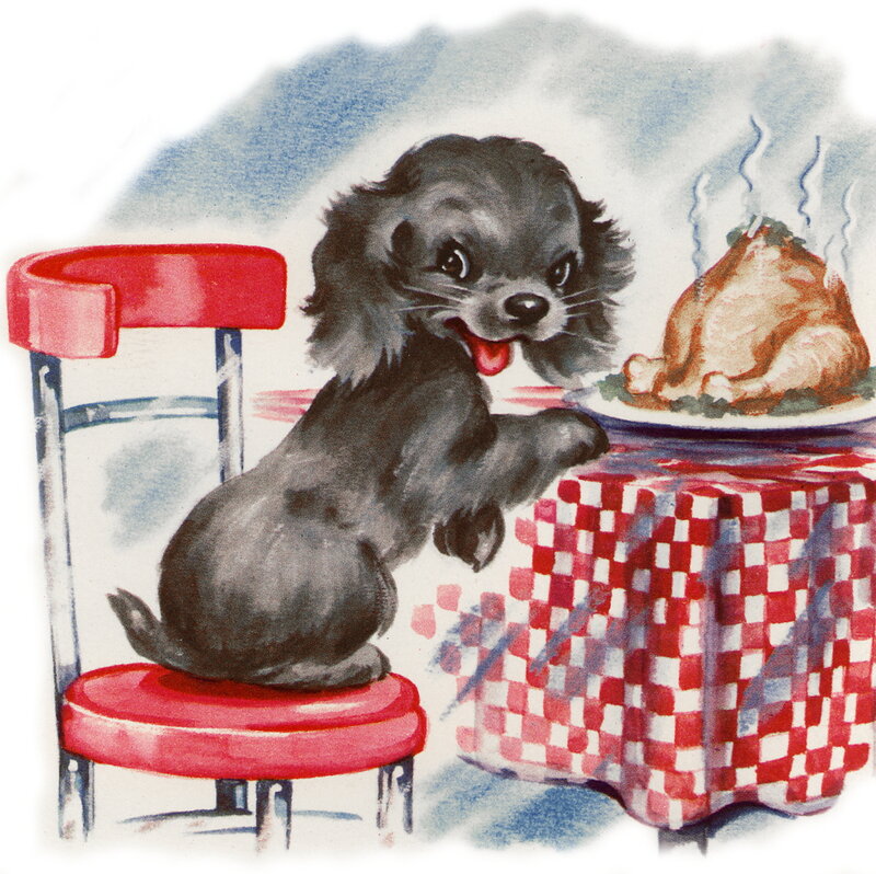 Black Puppy at Table