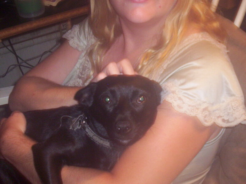 Black Puppy in Arms