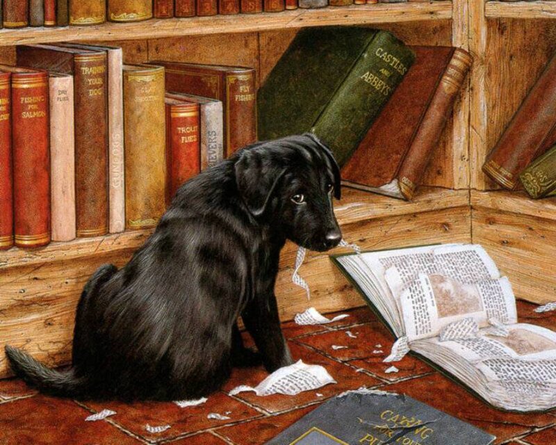 Black Puppy in Library