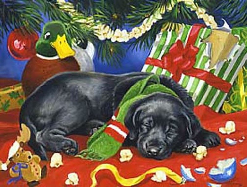 Black Puppy Sleeping — Red