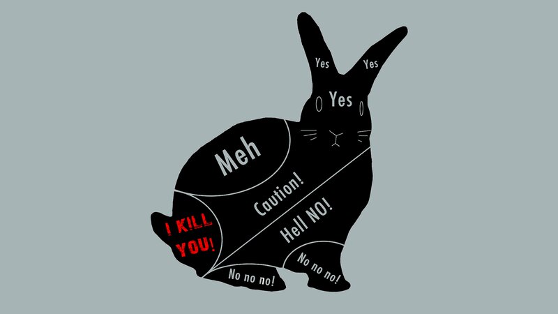 Black Rabbit Silhouette — Humorous