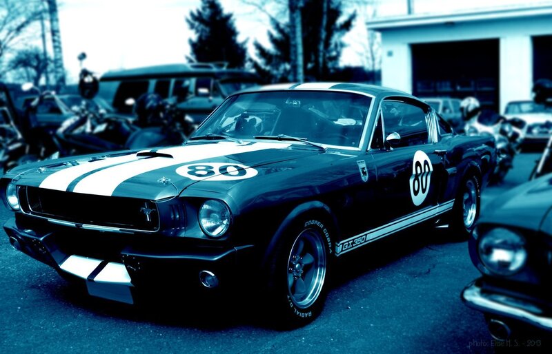 Black Race Car — Blue