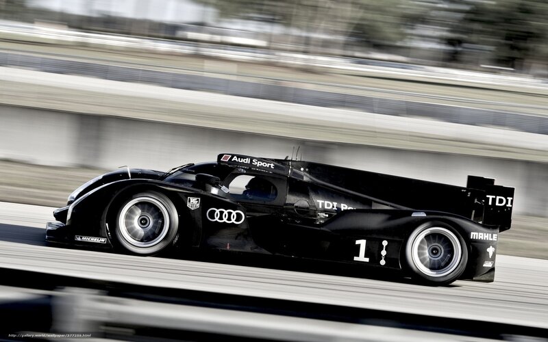 Black Race Car — Dynamic, Photograph, Race Track, Driver, Tire