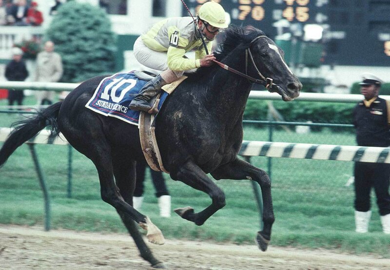 Black Racehorse Running
