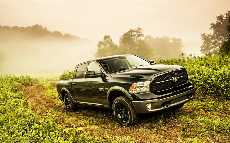 Black Ram 1500 in a misty field