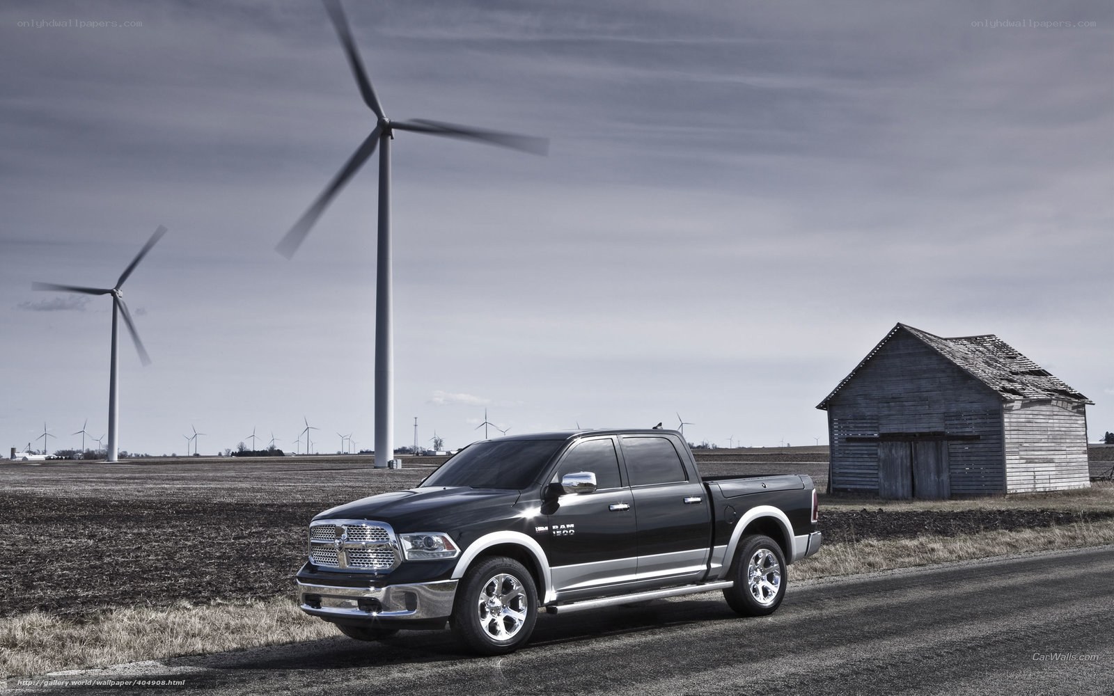 Black Ram 1500 in rural landscape