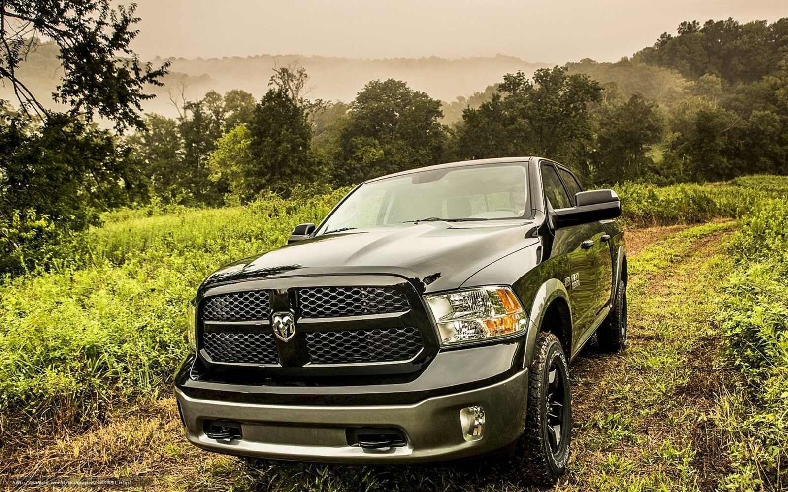 Black Ram pickup in a field