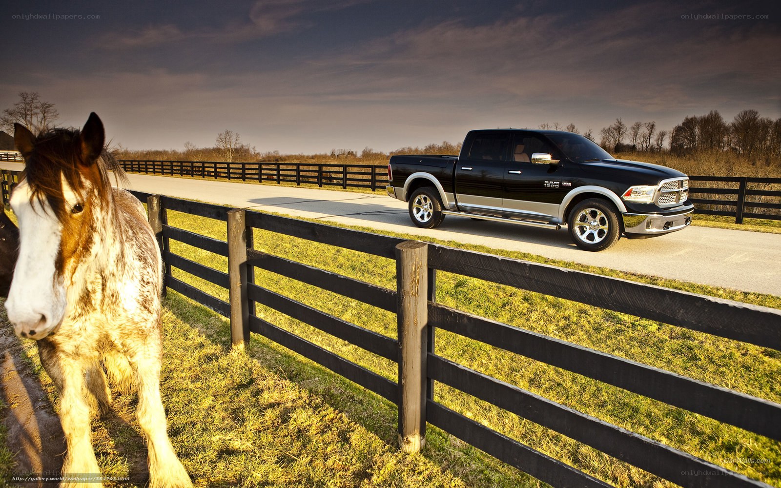Black Ram pickup on farm road
