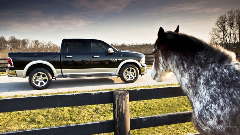 black ram pickup truck with horse