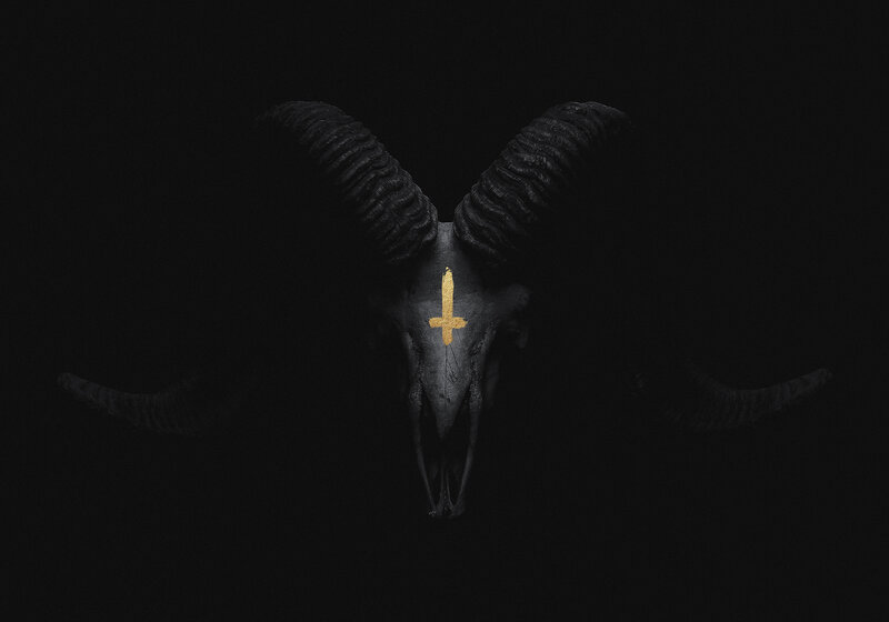 Black Ram Skull