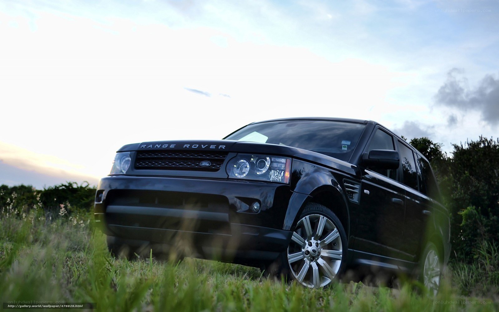 Black Range Rover in a field