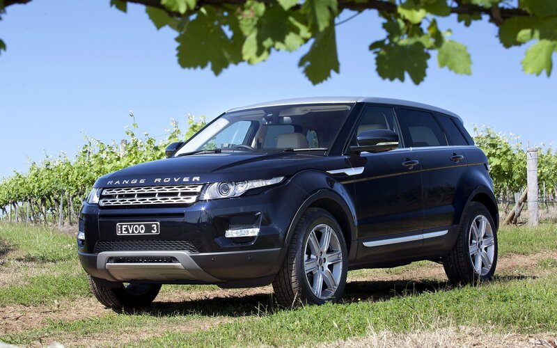 Black Range Rover in a vineyard